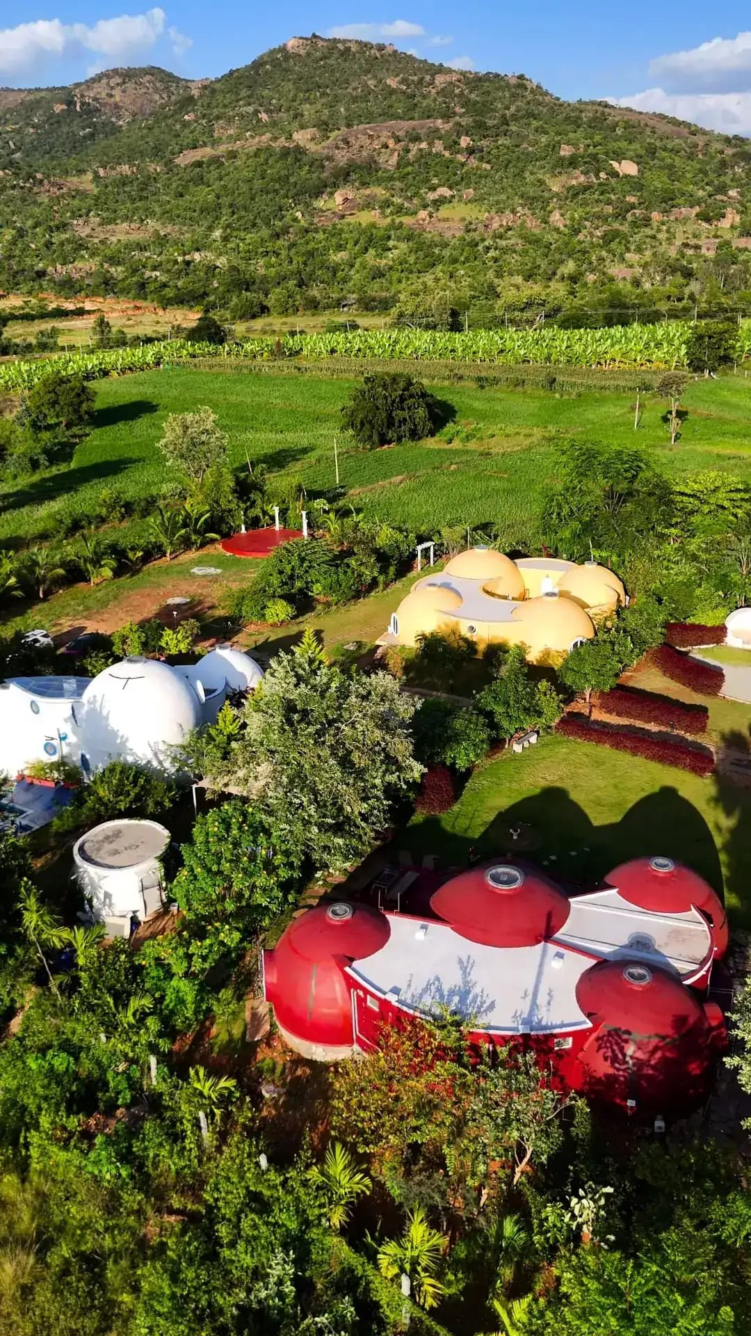 Red Dome 6