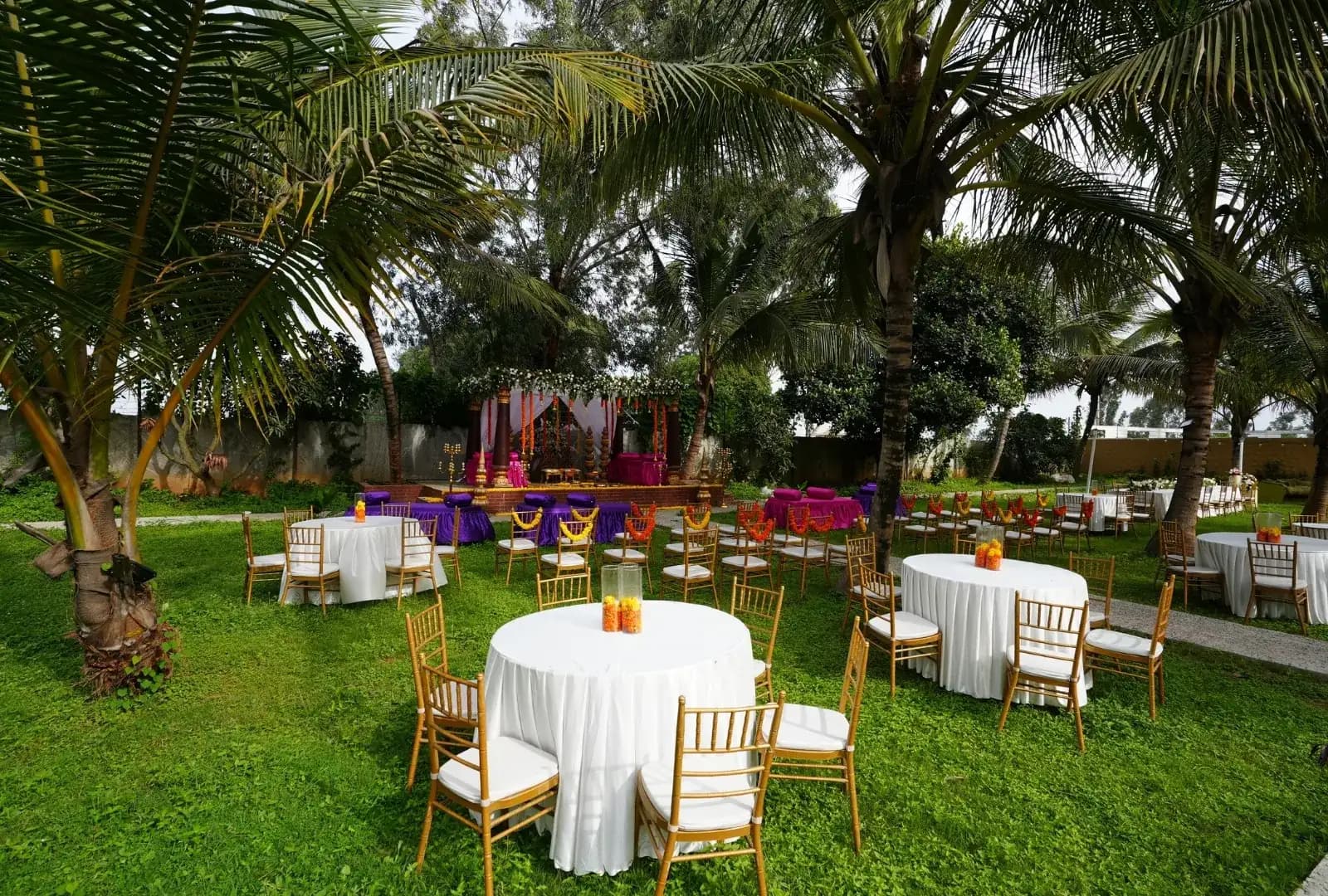 Weddings