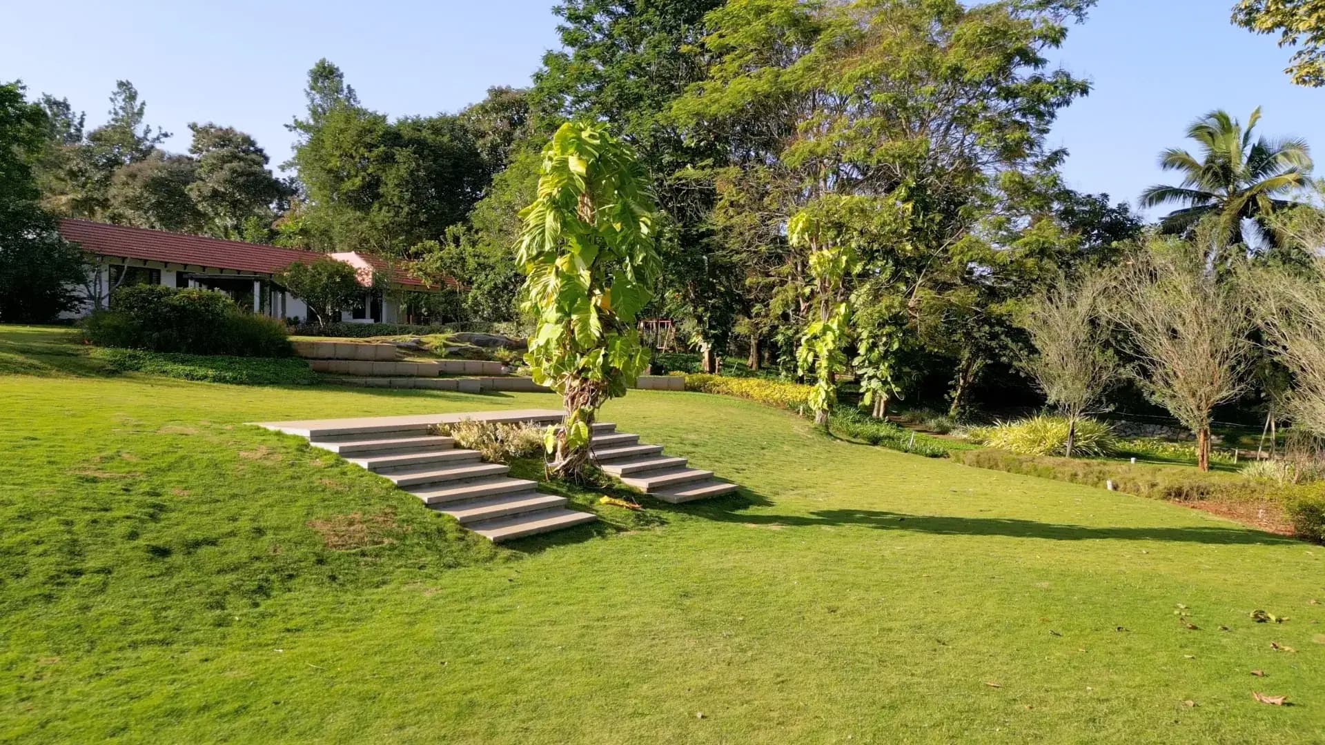 Outdoors & Lawns 2