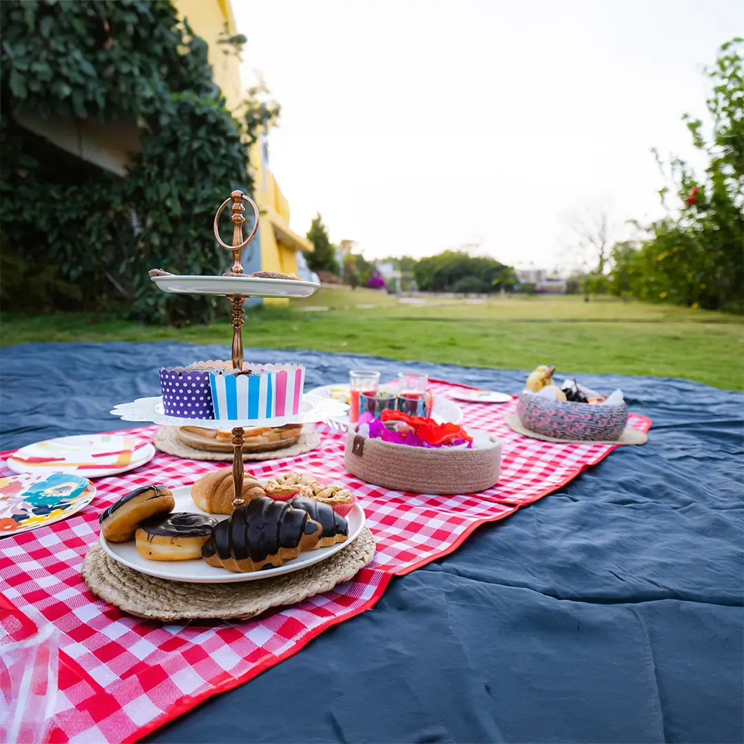 Outdoor Picnic Set-Up